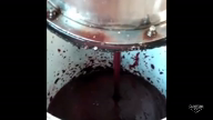 Imagem Polpa de Açaí