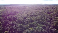 Imagem Fazenda de Mata Atlântica Compensar Reserva Legal