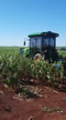 Imagem Cabines para Trator Velmet/Valtra