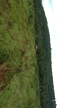 Imagem Portao de Ferro para fazenda