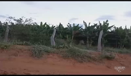 Imagem Oportunidade Única: Terreno Extenso na Bahia Ideal para Usina Solar
