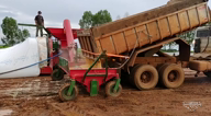 Imagem Transportadora de Grãos Multiagro - TGM 350