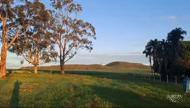 Imagem Fazenda em Baliza Goiás