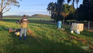 Imagem Fazenda em Baliza Goiás