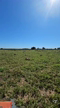 Imagem Fazenda formada: casa, curral, represa e poço 62 alqueires (300 ha)-Jussara/GO, na beira Rio Claro