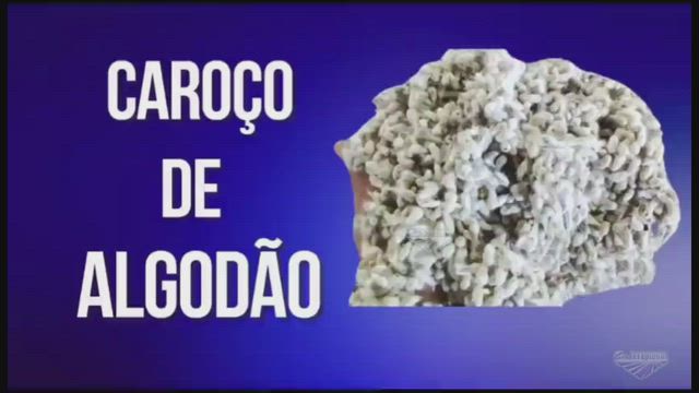Imagem Caroço de Algodão