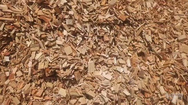 Imagem Cavaco de Eucalipto