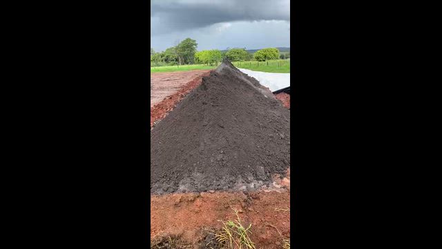 Imagem Composto de Poedeira