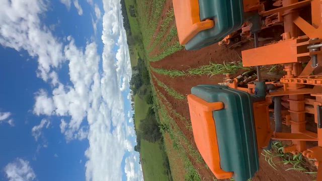 Imagem Cultivador Quebra-Lombo Jr. - Dria