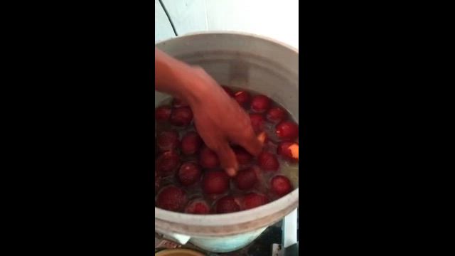 Imagem DESPOLPADEIRA BONINA NB10 PARA BURITI