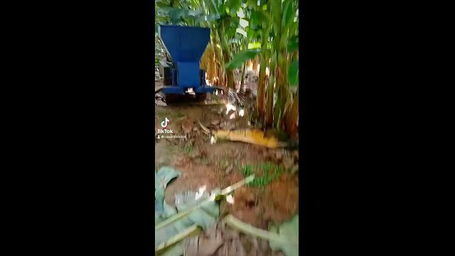 Imagem Moto Adubadora Triciclo Agrícola