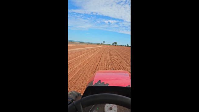 Imagem Plantadeira PHP Tatu 7/4 com Sistema Titanium