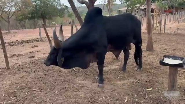 Imagem Produto de Teste- Não Excluir