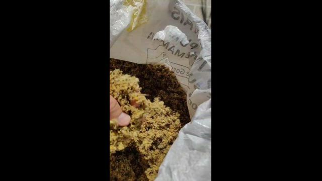 Imagem Torta de Algodão Direto da Fábrica Melhor Custo-Benefício!