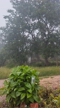 Imagem Sitio a Venda - Serranópolis de Minas
