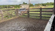 Imagem Fazenda município de Breu Branco  -PA 421 ha