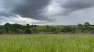 Imagem Fazenda município de Breu Branco  -PA 421 ha