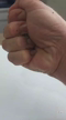 Imagem Chia orgânica