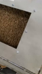 Imagem Pellets de madeira - 100% pinus