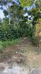 Imagem Fazenda Bela vista São Francisco de Paula - Minas Gerais