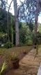 Imagem Sitio em Bom Jardim para arrendamento