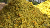 Imagem Bagaço de Laranja In Natura — direto da indústria, pronto pra turbinar seu rebanho!