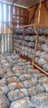 Imagem Composto para produção de cogumelos