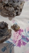 Imagem Druzas cristais quartzo fumê a murion