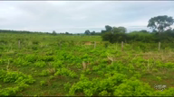 Imagem Fazenda com produção de Soja de 696 Hectares em Montes Claros - GO