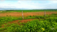 Imagem Fazenda com produção de Soja de 696 Hectares em Montes Claros - GO