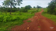 Imagem Fazenda com produção de Soja de 696 Hectares em Montes Claros - GO