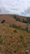 Imagem Terreno Ideal para Criação de Gado ou Plantio  a 6 km de Tiradentes Minas Gerais.