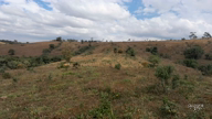 Imagem Terreno Ideal para Criação de Gado ou Plantio  a 6 km de Tiradentes Minas Gerais.