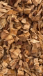 Imagem CAVACO DE PINUS