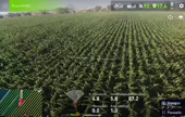 Imagem Pulverização Agrícola com Drone