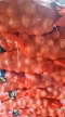 Imagem Cebola caixa