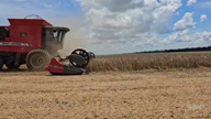 Imagem Colheitadeira Massey Ferguson 9790 semi nova Ano 2015