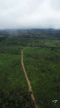 Imagem Fazenda a venda em Apiacas área total 1.045 hectares