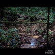 Imagem Propriedade de 73,40 ha em Presid. Figueiredo/AM totalmente regularizada.