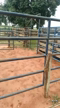 Imagem VENDA ARENA DE RODEIO  - 50 MIL