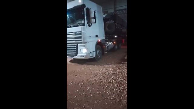 Imagem Caroço de açaí