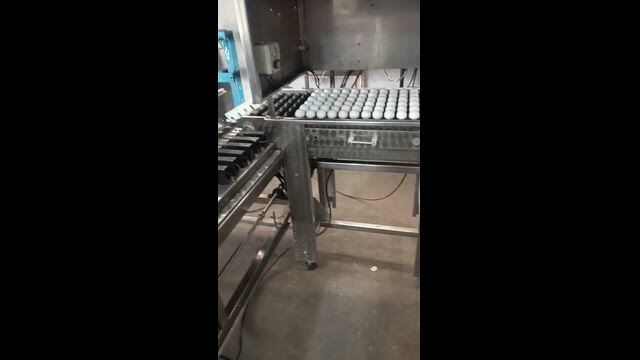Imagem Classificadora de Ovos Yamasa 50 Caixas/Hora
