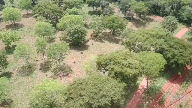 Imagem Fazenda de Dupla Aptidão com 21,77 Hectares em Buritis - MG