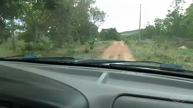 Imagem Fazenda para Pecuária com 308 Alqueires em Uruaçu (GO)