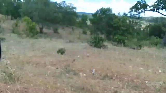 Imagem Fazenda para Pecuária com 308 Alqueires em Uruaçu (GO)