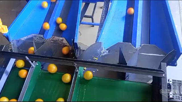 Imagem Máquinas beneficiadora de citrus, laranja, limão.