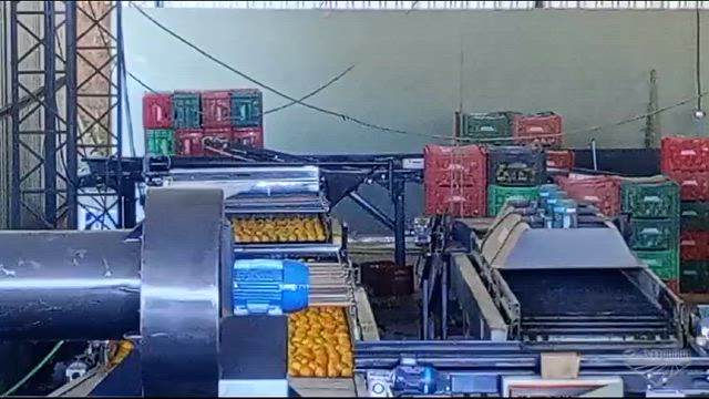 Imagem Máquinas beneficiadora de citrus, laranja, limão.