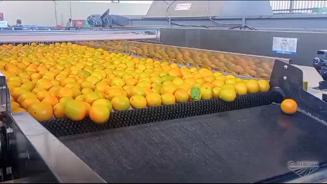 Imagem Máquinas beneficiadora de citrus, laranja, limão.