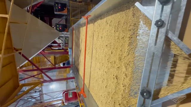 Imagem Mesa de Gravidade para Beneficiamento de Sementes