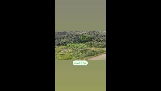 Imagem Sítio com 4 Alqueires em Santo Antônio do Descoberto - GO